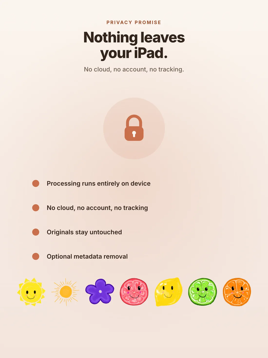 Redact on iPad: Nothing leaves your iPad